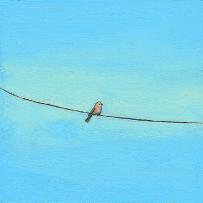 bird on a wire