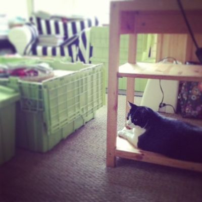 we're moving