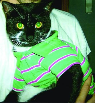 Milo in a Polo
