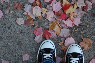 colors of Ashland