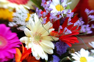 flowers for you