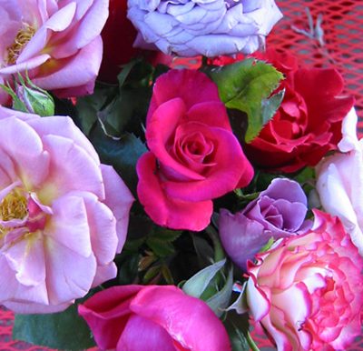 happy holiday week