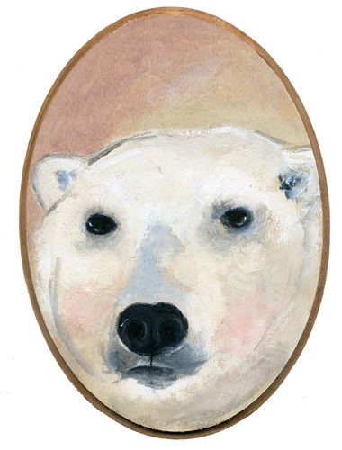 Lions, Tigers and Bears :: Bear