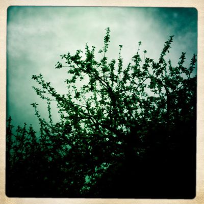 springtime in Germany