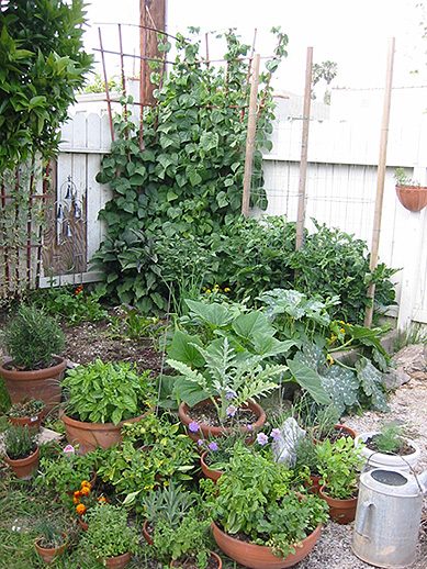 Inspired by Vegetable Gardens, who knew?