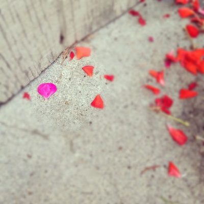 dear blog ~ have I left you for Instagram?